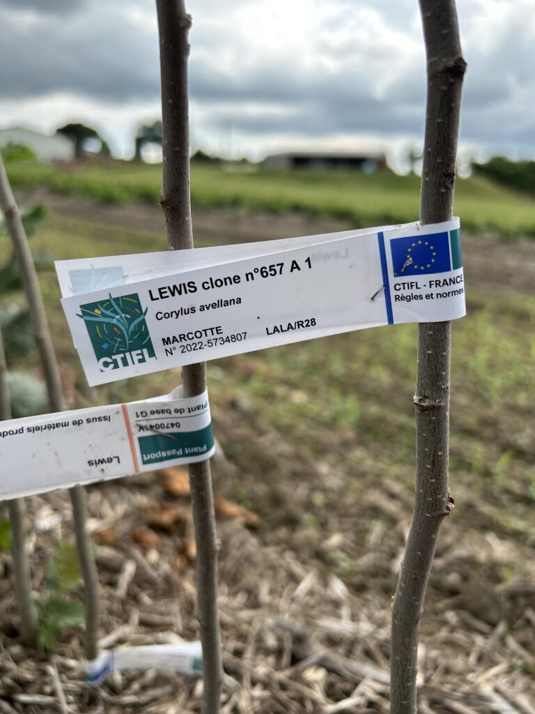 plants certifiés