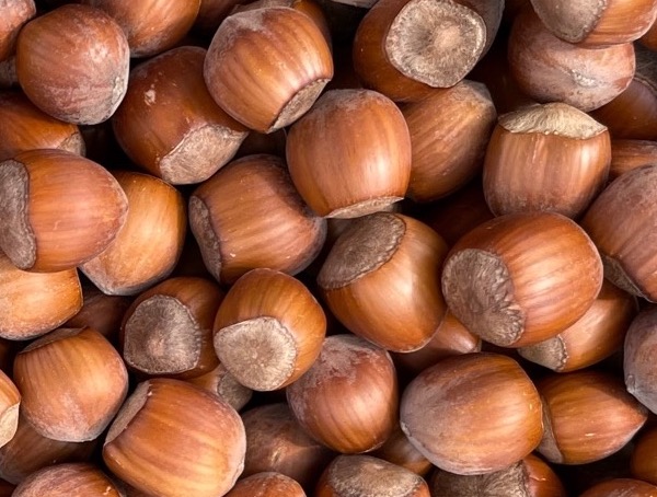 noisette variété mixte